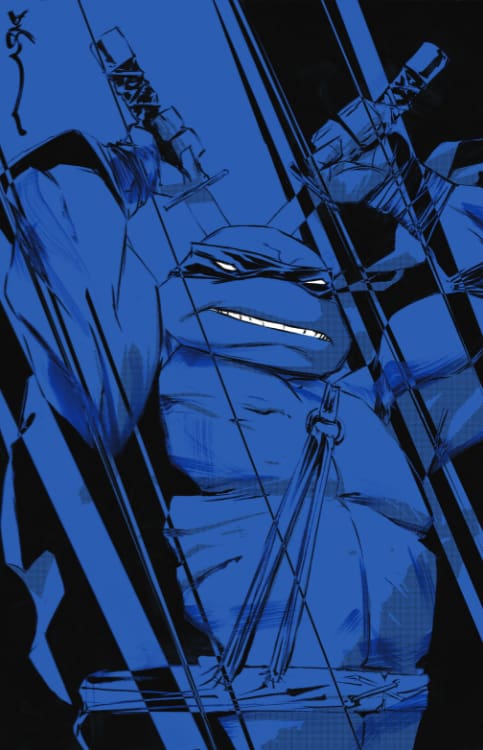 Teenage Mutant Ninja Turtles #1